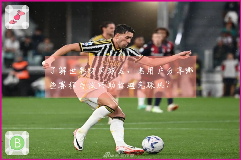 了解世界杯买球后，老用户分享哪些赛程与技巧助你避免踩坑？