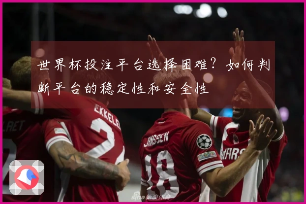 世界杯投注平台选择困难？如何判断平台的稳定性和安全性体育资讯