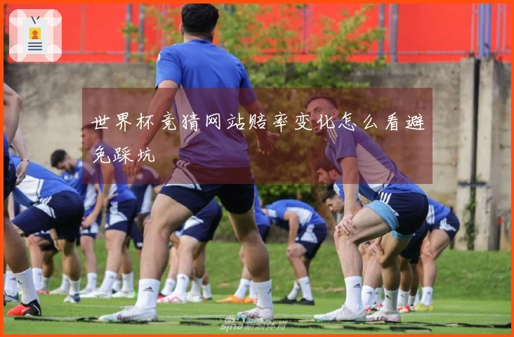 世界杯竞猜网站赔率变化怎么看避免踩坑