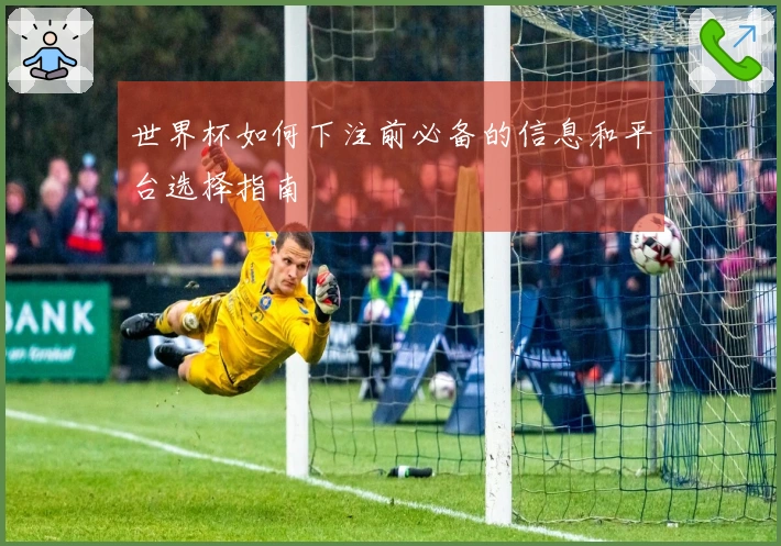 世界杯如何下注前必备的信息和平台选择指南
