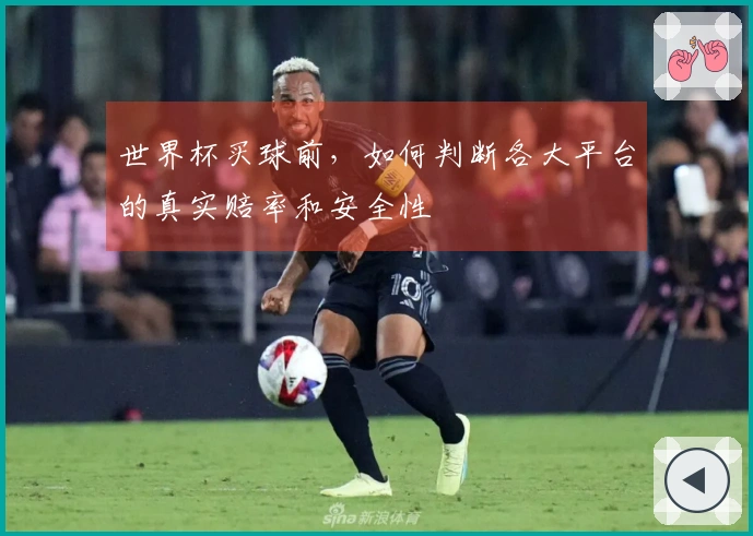 世界杯买球前，如何判断各大平台的真实赔率和安全性