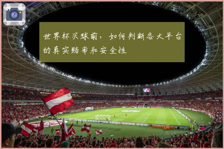 世界杯买球前，如何判断各大平台的真实赔率和安全性